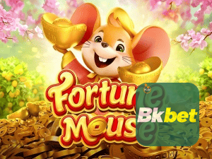 BKBET login — configurações de segurança e proteção de conta